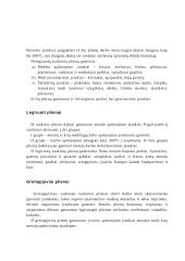 Plieno grupės pagal panaudojimo sritį 6 puslapis