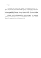Baudžiamosios atsakomybės samprata 3 puslapis