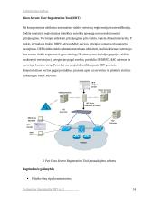 Programinės įrangos analizė: Cisco Works 2000 tinklo valdymo platformos 14 puslapis