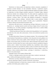 Viskas apie bendravimą 2 puslapis
