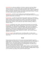 Protistų karalystė ir charakteristika 3 puslapis