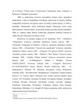 Rimas Tuminas. Režisieriaus kūrybiniai principai 2 puslapis