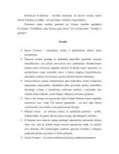 Rimas Tuminas. Režisieriaus kūrybiniai principai 7 puslapis