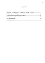 Romano Abramovičiaus asmenybės analizė 2 puslapis