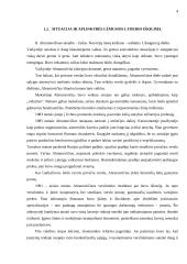 Romano Abramovičiaus asmenybės analizė 4 puslapis