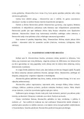 Romano Abramovičiaus asmenybės analizė 5 puslapis