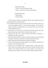 Bendravimo problema – konfliktai 10 puslapis