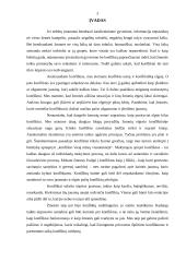 Bendravimo problema – konfliktai 2 puslapis