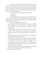 Bendravimo problema – konfliktai 4 puslapis