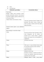 Scenarijus: Tarptautinė teatro diena 4 puslapis