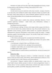 Bendravimo stiliai 5 puslapis