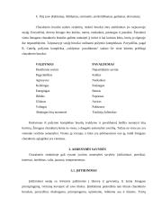 Charakteris, charakterio bruožai, nukrypimai bei asmeninės savybės 4 puslapis