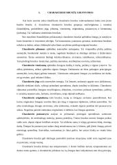 Charakteris, charakterio bruožai, nukrypimai bei asmeninės savybės 7 puslapis