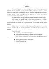 Slėptuvių patalpos ir vidaus įranga. Potvyniai 3 puslapis