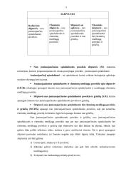 Slėptuvių patalpos ir vidaus įranga. Potvyniai 5 puslapis