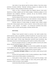 Slėptuvių patalpos ir vidaus įranga. Potvyniai 7 puslapis