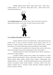 Slėptuvių patalpos ir vidaus įranga. Potvyniai 9 puslapis