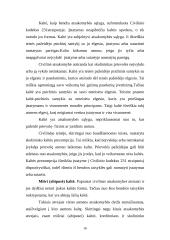 Civilinė atsakomybė kaip teisinės atsakomybės rūšis, jos samprata 16 puslapis