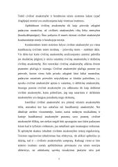 Civilinė atsakomybė kaip teisinės atsakomybės rūšis, jos samprata 5 puslapis