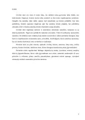 Privatinė ir civilinė teisė 3 puslapis