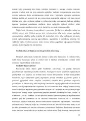 Privatinė ir civilinė teisė 10 puslapis