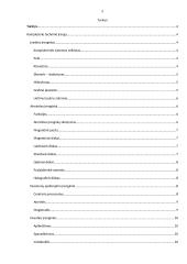 Techninė kompiuterio įranga 2 puslapis