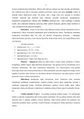 Techninė kompiuterio įranga 5 puslapis