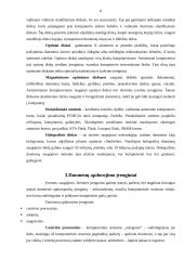 Techninė kompiuterio įranga 8 puslapis