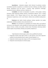 Techninė kompiuterio įranga 10 puslapis