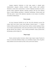 Depresijos priežastys, simptomai, terapija 11 puslapis