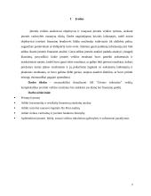 Veiklos analizė: AB "Utenos trikotažas" 3 puslapis