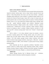 Veiklos analizė: AB "Utenos trikotažas" 4 puslapis