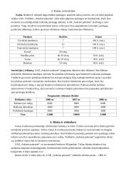 Verslo planas: viešbutis "Auksinė pakrantė" 2 puslapis