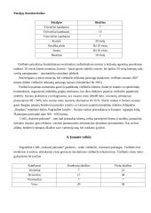 Verslo planas: viešbutis "Auksinė pakrantė" 3 puslapis