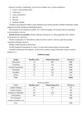 Verslo planas: viešbutis "Auksinė pakrantė" 4 puslapis