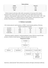 Verslo planas: viešbutis "Auksinė pakrantė" 5 puslapis