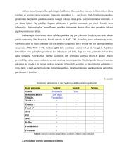Web 1.0, Web 2.0 ir Vekseliai: prasmė, naudojimas, naujovės, metodai 11 puslapis