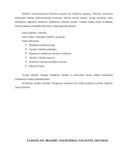Web 1.0, Web 2.0 ir Vekseliai: prasmė, naudojimas, naujovės, metodai 13 puslapis