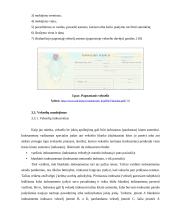 Web 1.0, Web 2.0 ir Vekseliai: prasmė, naudojimas, naujovės, metodai 16 puslapis