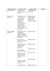 Žmogaus biologija ir sveikata pamokos planas: Virškinimo sistema 2 puslapis