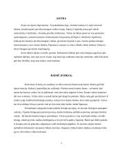 Emocinės būsenos: aistra, baimė, depresija, frustracija 5 puslapis