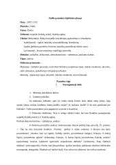 Aukštesniųjų klasių mokytojo praktikos dokumentacija