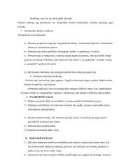 Aukštesniųjų klasių mokytojo praktikos dokumentacija 2 puslapis