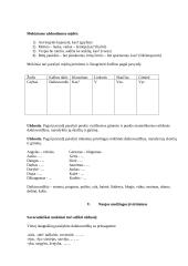 Aukštesniųjų klasių mokytojo praktikos dokumentacija 11 puslapis