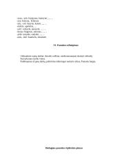 Aukštesniųjų klasių mokytojo praktikos dokumentacija 12 puslapis