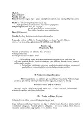 Aukštesniųjų klasių mokytojo praktikos dokumentacija 13 puslapis
