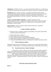 Aukštesniųjų klasių mokytojo praktikos dokumentacija 18 puslapis