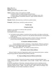 Aukštesniųjų klasių mokytojo praktikos dokumentacija 19 puslapis