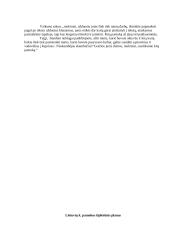 Aukštesniųjų klasių mokytojo praktikos dokumentacija 9 puslapis