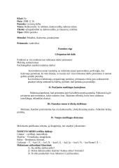 Aukštesniųjų klasių mokytojo praktikos dokumentacija 10 puslapis